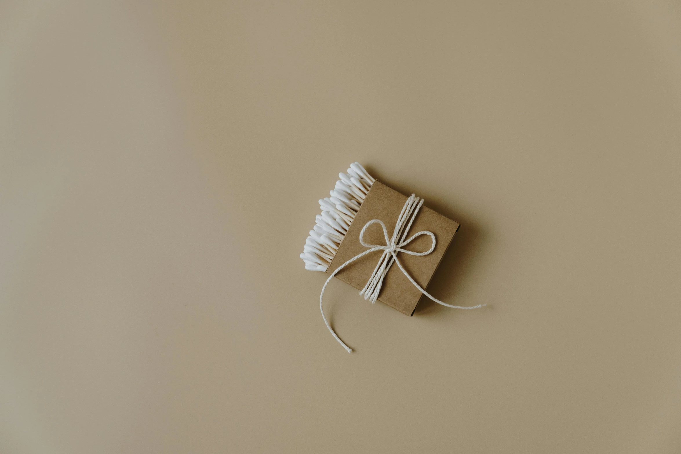 a book wrapped in twine and tied with twine, an album cover, pexels contest winner, minimalism, paul barson, ornamental bow, render corona, taupe