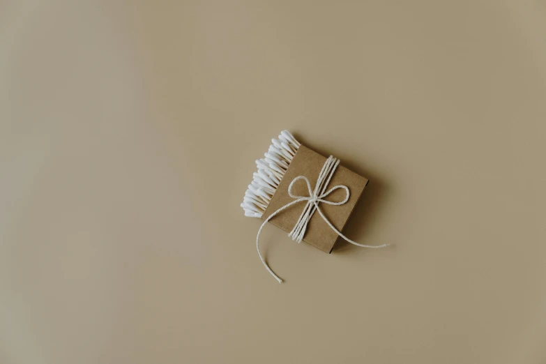 a book wrapped in twine and tied with twine, an album cover, pexels contest winner, minimalism, paul barson, ornamental bow, render corona, taupe