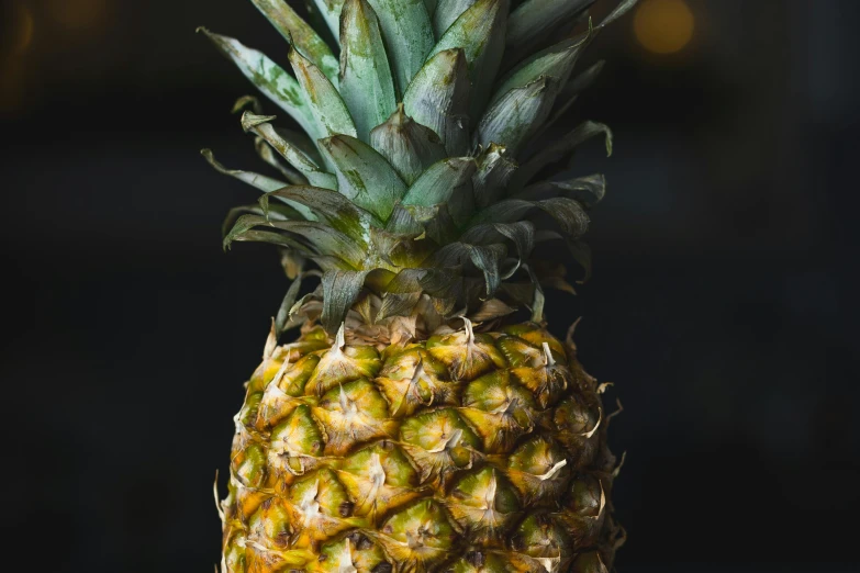 a close up of a pineapple on a table, a portrait, unsplash, full frame image, shot on sony a 7, night time, cooked