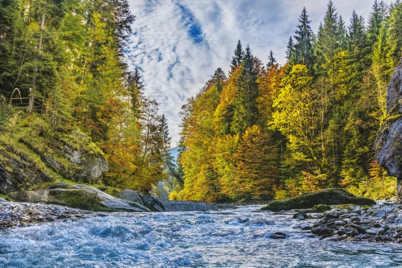 a river running through a forest filled with trees, a picture, by Karl Stauffer-Bern, visual art, vacation photo, autum, thumbnail, group photo