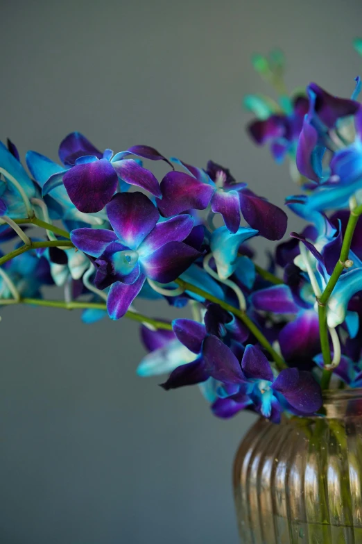 a vase filled with purple and blue flowers, an orchid flower, up-close, dipped in polished blue ceramic