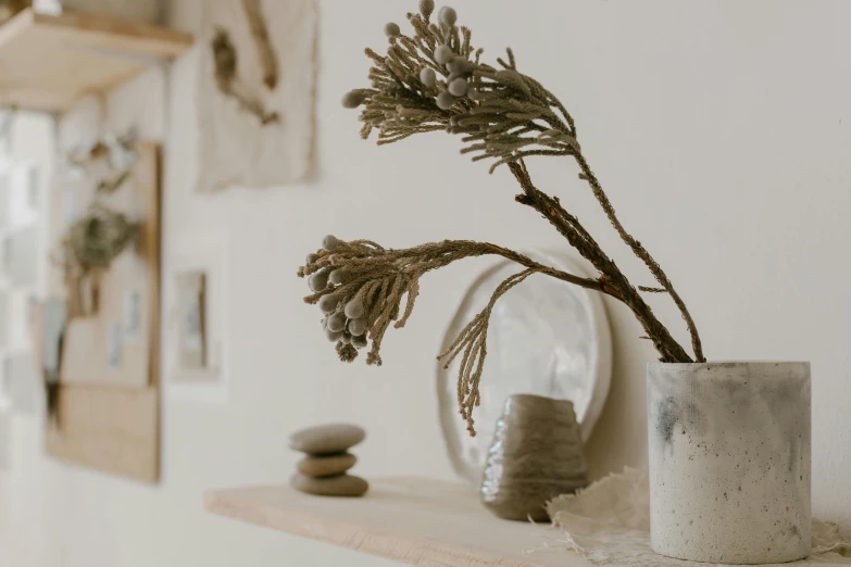 a vase with a plant in it sitting on a shelf, by Emma Andijewska, trending on unsplash, concrete art, she has a crown of dried flowers, driftwood sculpture, gallery display photograph, ivory carved mantle