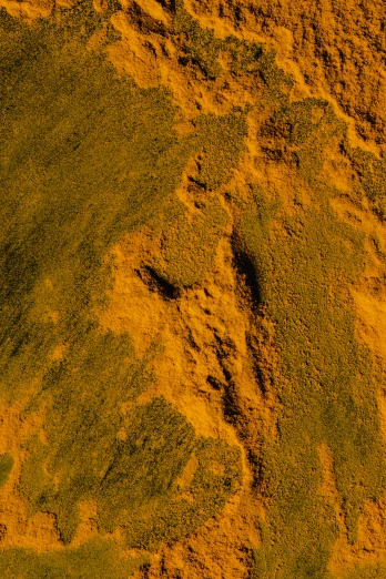 a bird standing on top of a lush green hillside, by Doug Ohlson, land art, on the orange surface of mars, yellow ochre, minn, detailed zoom photo