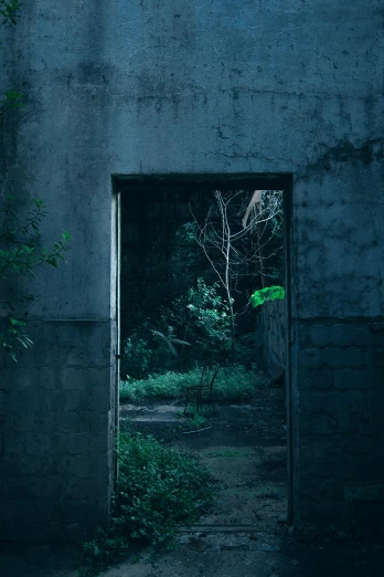 an open door leading into a dark room, inspired by Elsa Bleda, overgrown jungle ruins, kousuke oono, blue and green, instagram photo