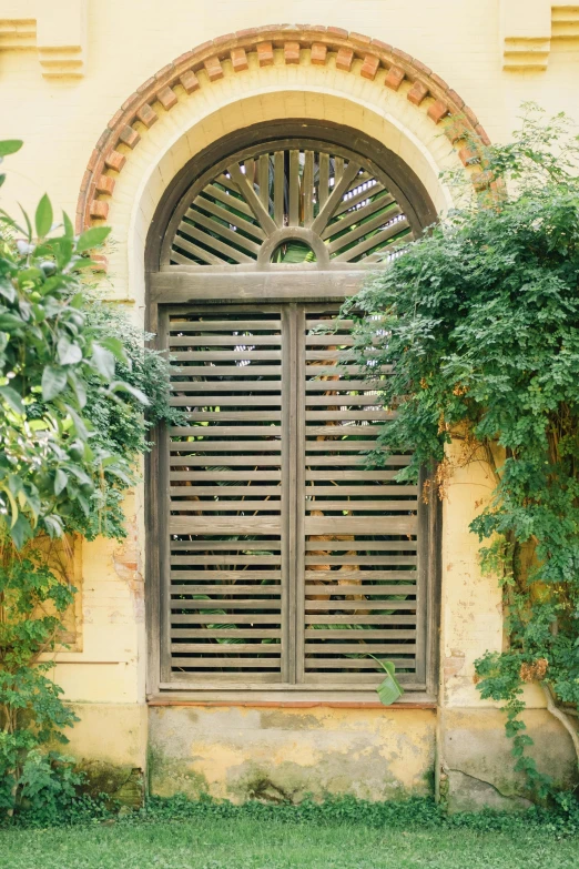 a white fire hydrant sitting in front of a yellow building, inspired by Luis Paret y Alcazar, unsplash, renaissance, archways made of lush greenery, black vertical slatted timber, photo of a beautiful window, part of the screen