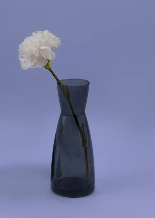 a single white carnation in a black vase, a still life, unsplash, blue translucent resin, ignant, vases and bottles, large tall