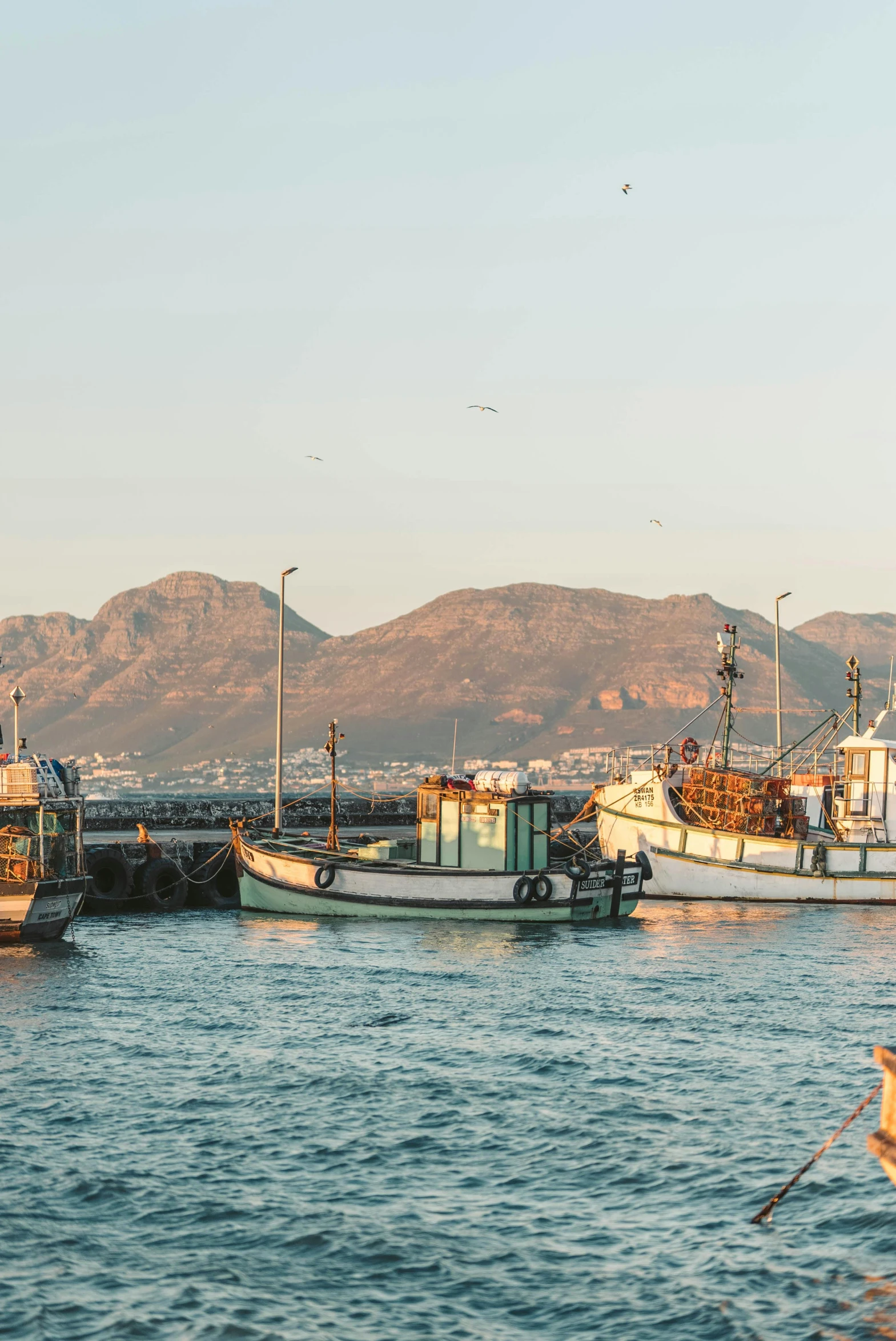 a number of boats in a body of water, by Daniel Lieske, pexels contest winner, south african coast, docked at harbor, late afternoon, with mountains in the distance