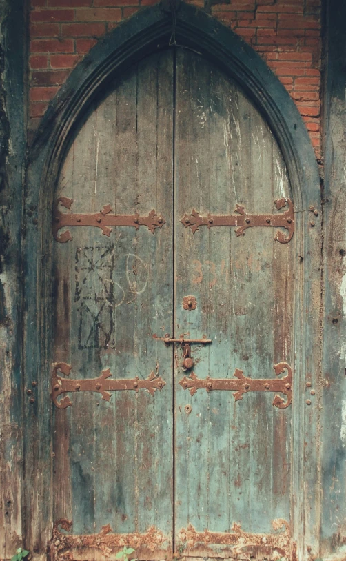 a cat sitting on the ground in front of a door, an album cover, by Jan Tengnagel, pexels contest winner, renaissance, iron arc gate door texture, panoramic shot, weathered, cathedral