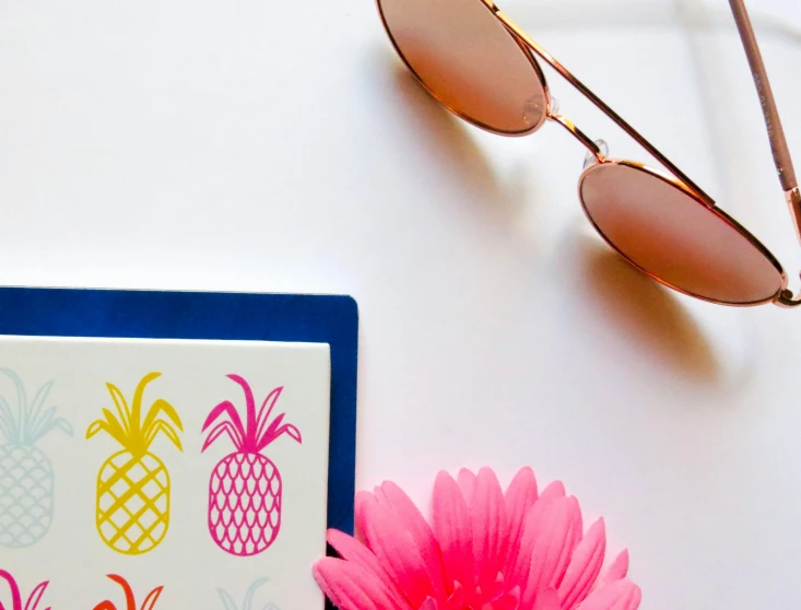 a laptop computer sitting on top of a table next to a pink flower, a picture, trending on pexels, private press, pineapples, designer sunglasses, multicoloured, copperplate print style