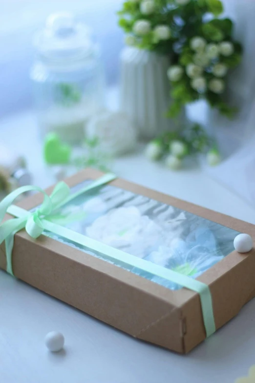 a close up of a box on a table, pale greens and whites, product display photograph, fully decorated, bio-inspired