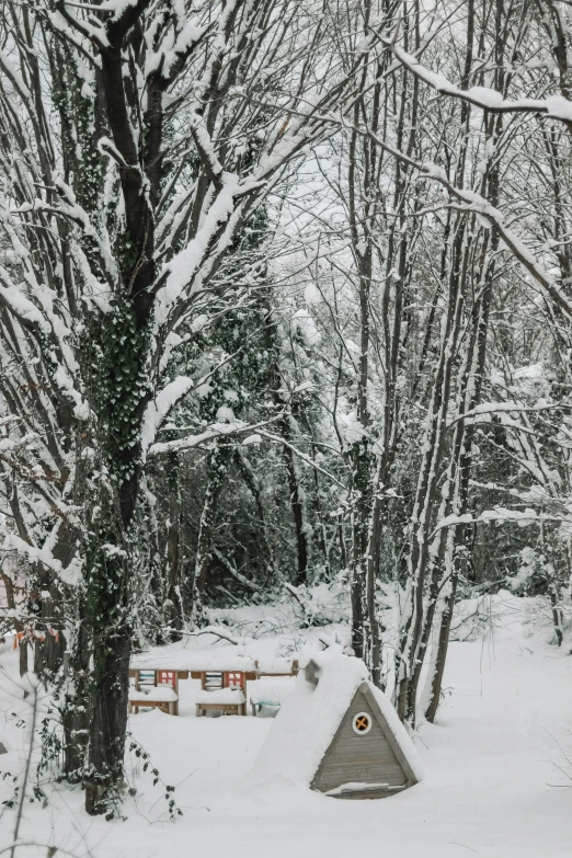 a sign sitting in the middle of a snow covered forest, a picture, pexels contest winner, renaissance, pastoral backyard setting, chile, benches, ready to eat