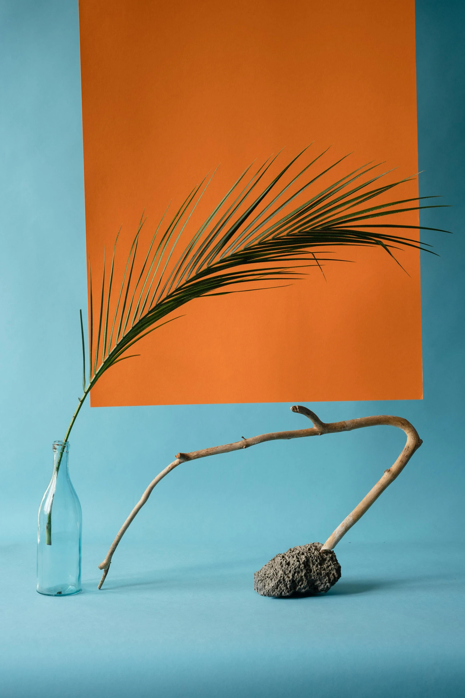 a vase sitting on top of a table next to a plant, an abstract sculpture, shutterstock contest winner, conceptual art, cyan and orange, dried palmtrees, maritime pine, right side composition