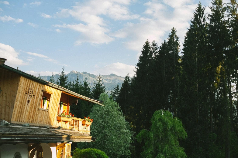 a wooden house sitting on top of a lush green hillside, by Tobias Stimmer, unsplash, renaissance, : psychedelic ski resort, pine trees in the background, conde nast traveler photo, late afternoon light