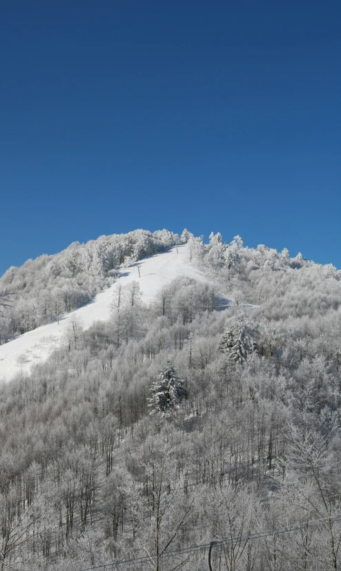 a man riding skis down a snow covered slope, flickr, an enormous silver tree, appalachian mountains, panoramic view, clear blue sky