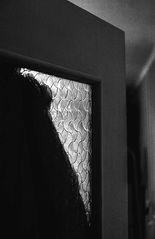 a black and white photo of a person standing in front of a window, a black and white photo, inspired by Arnold Newman, unsplash, lyrical abstraction, shiny scales, detailed metal textures, ffffound, about to enter doorframe