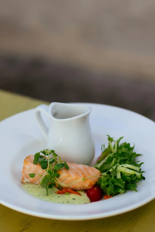 a close up of a plate of food on a table, by Julian Allen, exterior, salmon khoshroo, small, green