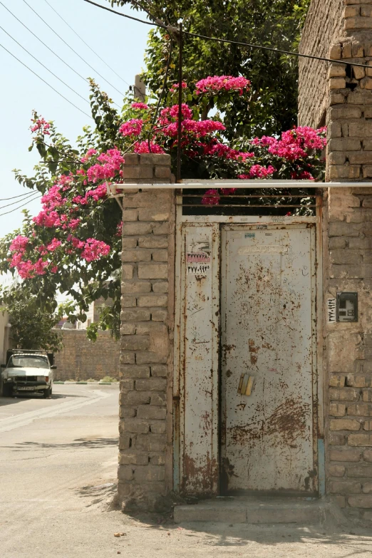 a red fire hydrant sitting on the side of a road, an album cover, graffiti, bougainvillea, iraq nadar, doorway, rustic