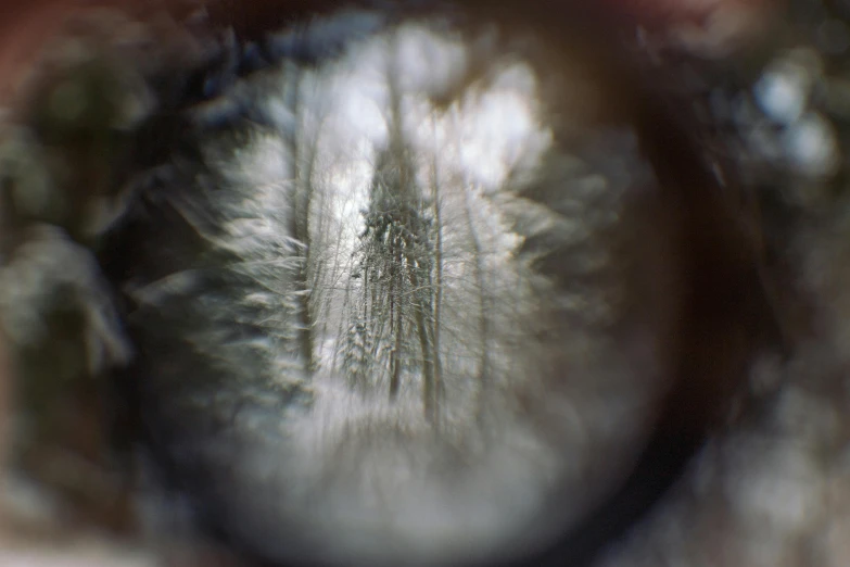 a close up of a person's eye with a magnifying lens, a macro photograph, by Adam Marczyński, hyperrealism, 4 k film still, grey-eyed, eyes in the trees, 1 2 0 0 dpi scan