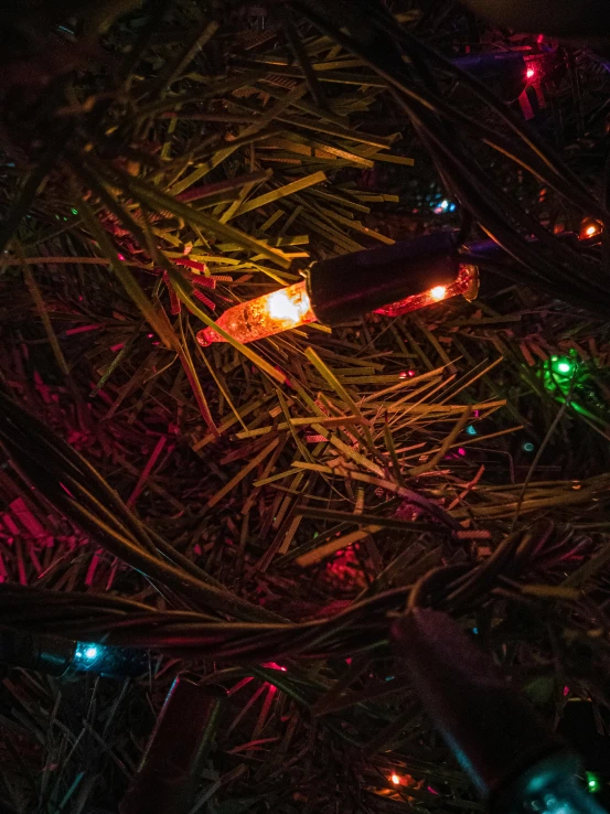 a close up of a bunch of christmas lights, an album cover, inspired by Patrick Dougherty, unsplash, color image, spooky photo, top - down view, grotto