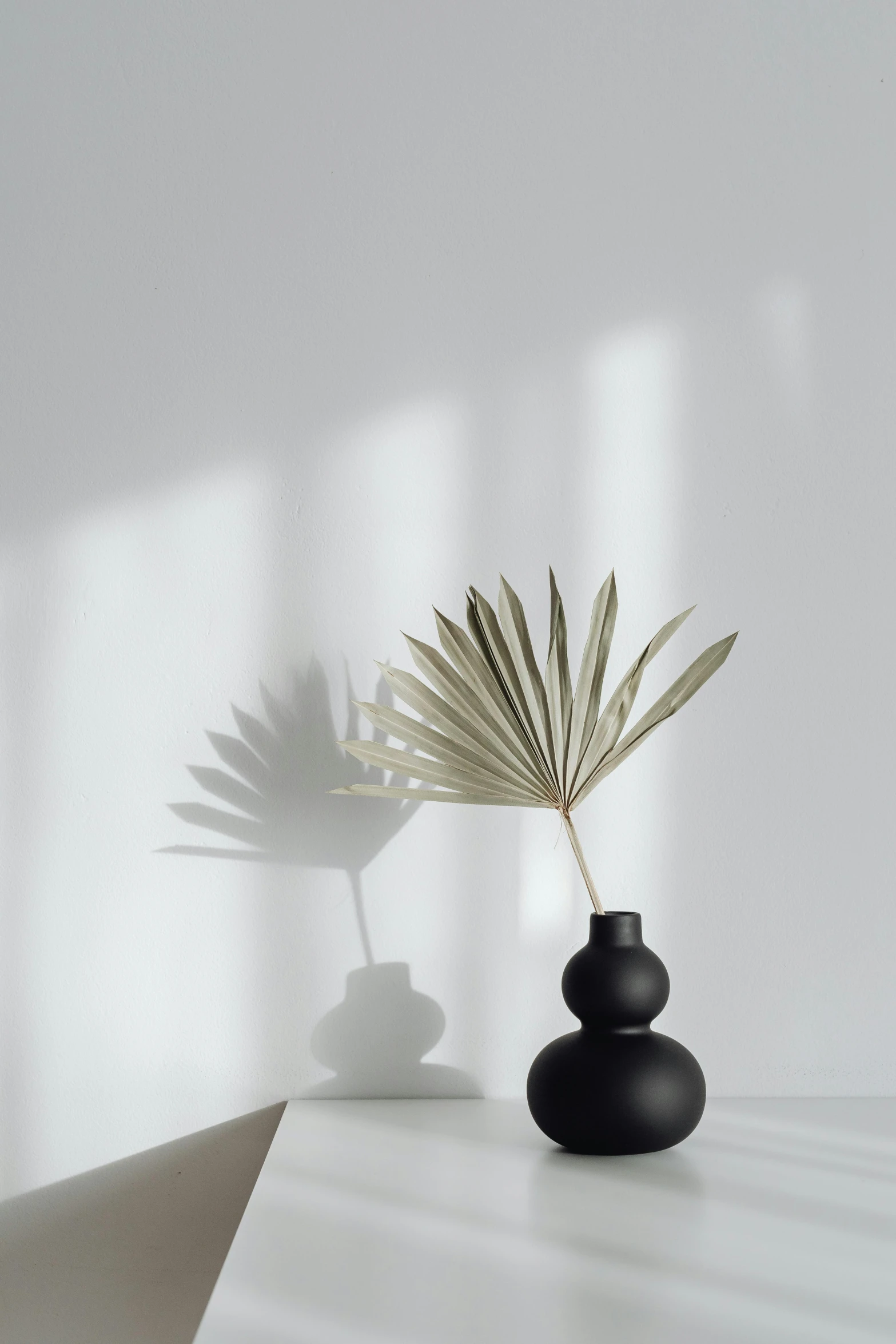 a black vase sitting on top of a white table, unsplash contest winner, minimalism, palm lines, sun drenched, in muted colors, silhoutte