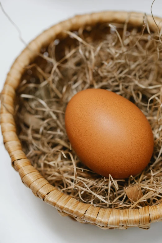 an egg in a basket on a table, pexels contest winner, renaissance, beautiful smooth oval head, brown:-2, light tan, farming