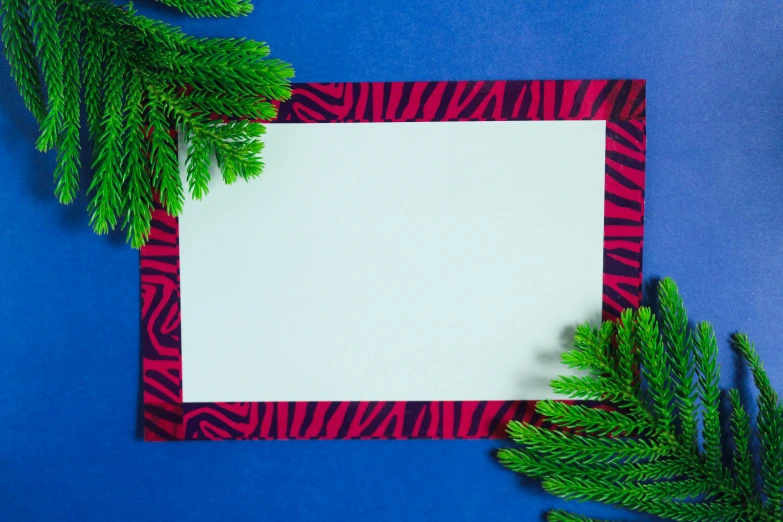 a blank paper surrounded by pine branches on a blue background, pexels contest winner, mail art, zebra op art, fuchsia and blue, decorative frame, card template