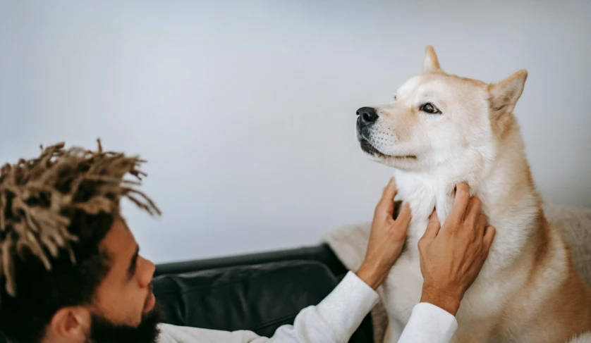 a man sitting on a couch petting a dog, trending on unsplash, renaissance, dreadlock breed hair, wearing a white lab coat, acupuncture treatment, husky dog