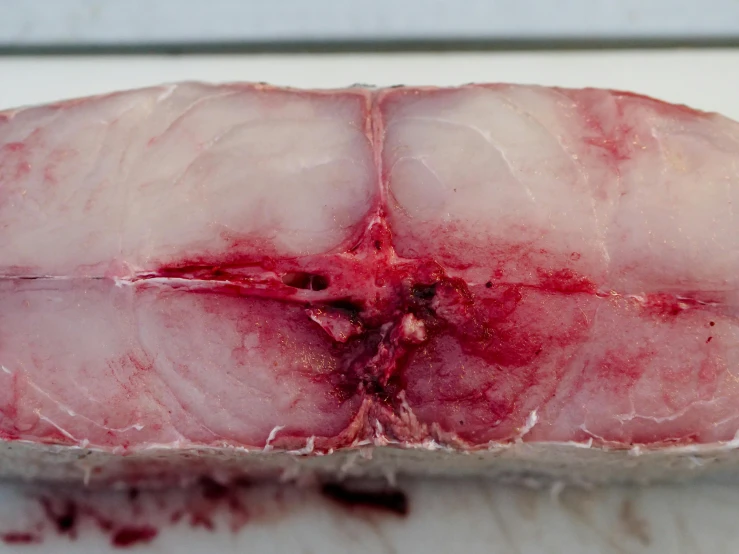 a piece of meat sitting on top of a cutting board, fully red eyes no pupils, can of shark spam, square jaw-line, uncropped