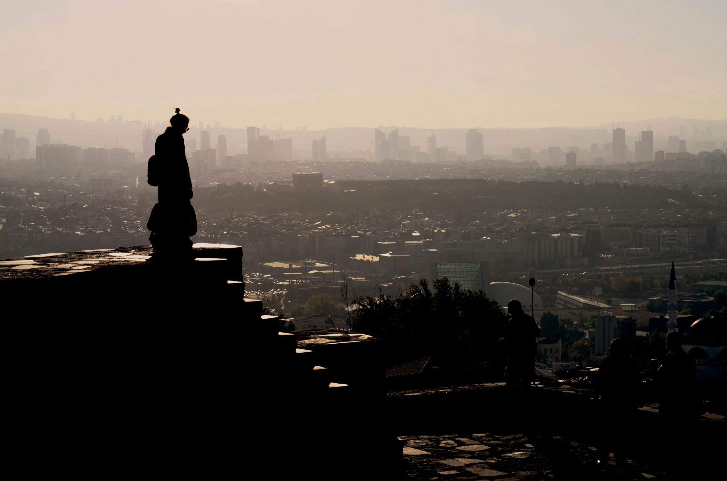 a silhouette of a person standing on top of a building, a statue, by Tobias Stimmer, view over city, palace on top of the hill, barely visible from the shadows, focused photo