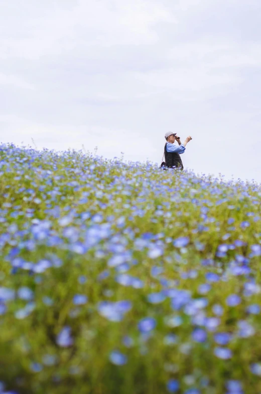 a woman standing in a field of blue flowers, shin hanga, explorer, waving, taken in the early 2020s, eeri