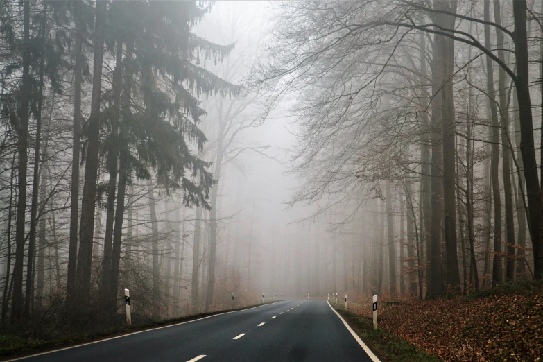 a road in the middle of a forest on a foggy day, by Kristian Zahrtmann, pexels contest winner, romanticism, 2 5 6 x 2 5 6 pixels, black forest, ((forest)), brown mist