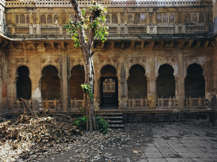 an old building with a tree in the middle of it, pexels contest winner, hindu aesthetic, vines on the walls, brown, demolition