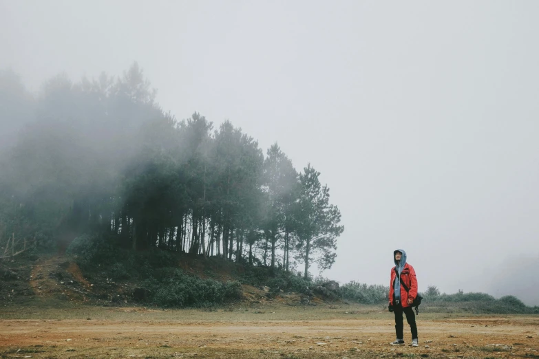 a person standing in a field with trees in the background, pexels contest winner, overcast gray skies, hiking clothes, low fog, music video