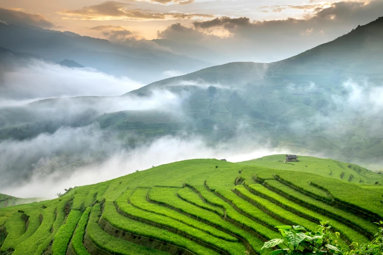a group of people standing on top of a lush green hillside, pexels contest winner, renaissance, staggered terraces, at dawn, 2 5 6 x 2 5 6 pixels, rice