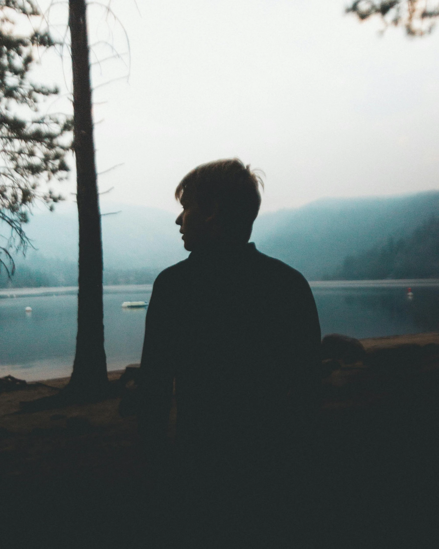 a person standing in front of a body of water, slightly dark colors, pine trees in the background, silhouettes of people, lgbtq