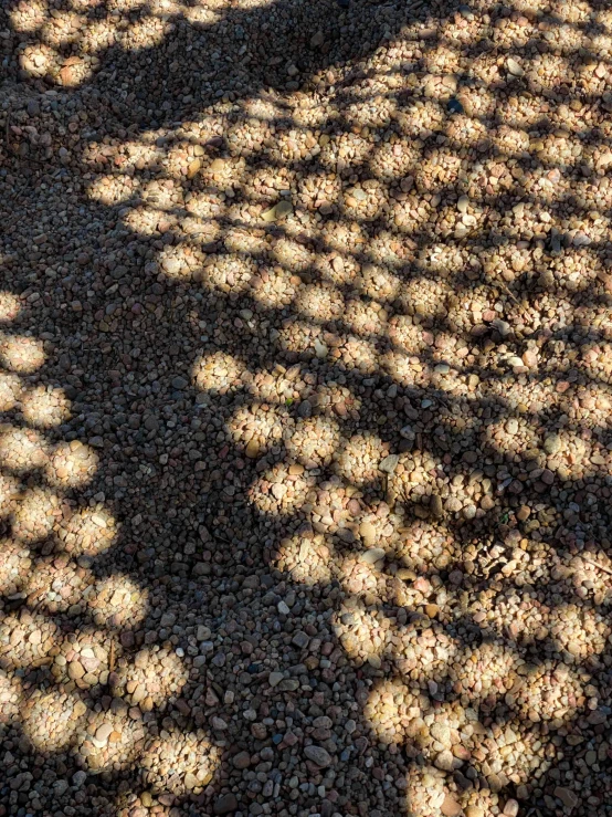 a red fire hydrant sitting on top of a gravel field, a digital rendering, inspired by Andy Goldsworthy, unsplash, land art, large tree casting shadow, repeating patterns, coffee beans, perforated metal