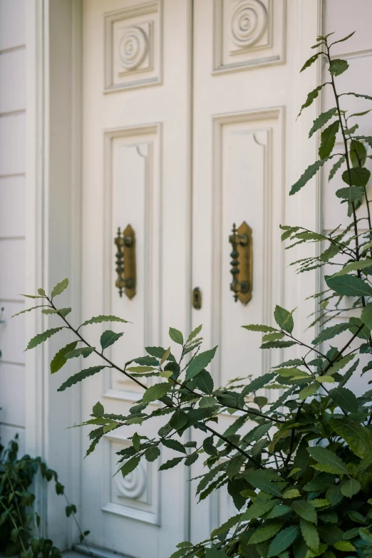 a red fire hydrant sitting in front of a white door, inspired by Albert Paris Gütersloh, unsplash, arts and crafts movement, bushes, white with gold accents, sconces, seen from outside