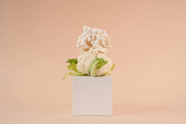 a cauliflower sitting on top of a white box, a marble sculpture, avant garde coral, lettuce, detailed product image, white clay