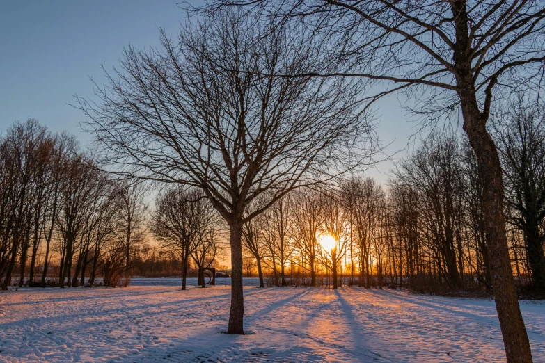 the sun is setting behind the trees in the snow, by Jan Tengnagel, pexels contest winner, sunny day in a park, today\'s featured photograph 4k, 2 0 5 6, high quality image