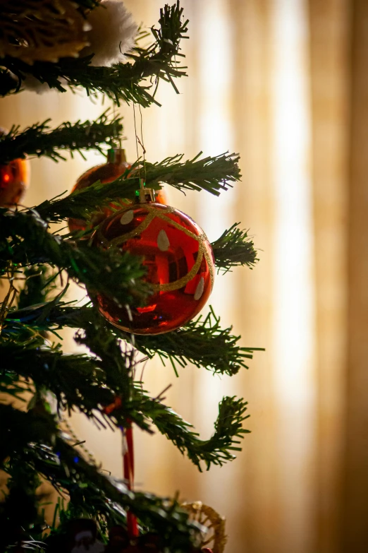 a close up of a christmas tree with ornaments, a portrait, pexels, square, warm sunlight shining in, print, long