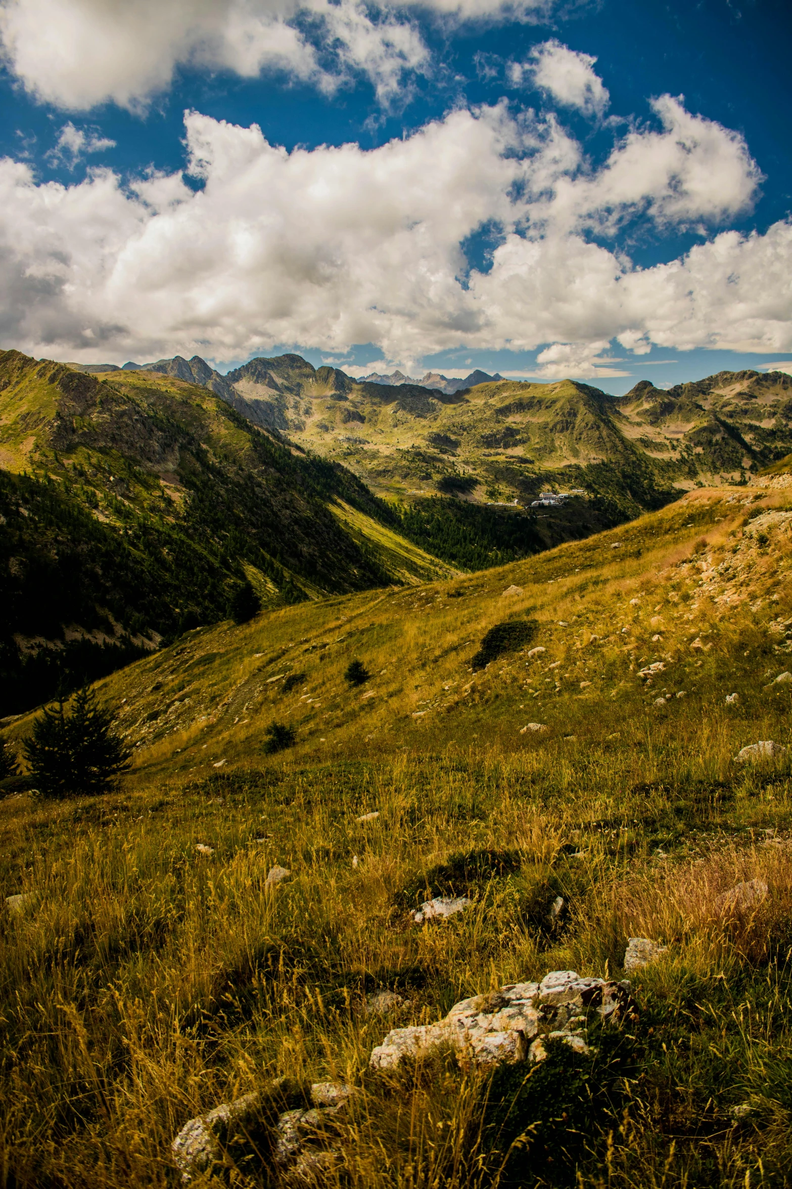 a grassy field with mountains in the background, by Cedric Peyravernay, pexels contest winner, les nabis, high view, shade, panorama view, hunting