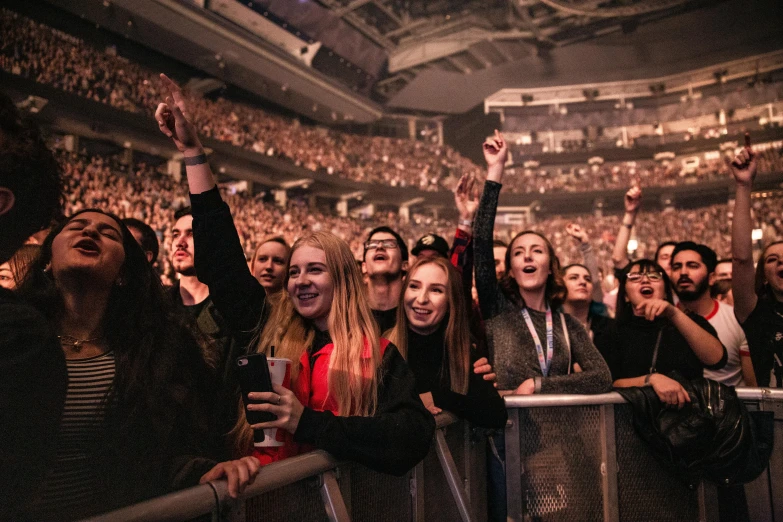 a group of people standing next to each other at a concert, profile image, arena, manuka, cheering crowds