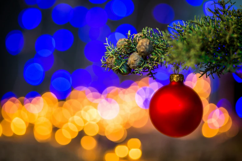 a red ornament hanging from a christmas tree, by Julia Pishtar, pexels, visual art, blue and yellow glowing lights, lush tress made of city lights, thumbnail, rectangle