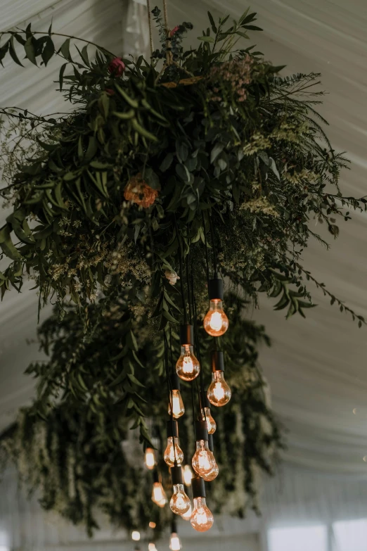 a bunch of lights hanging from the ceiling of a tent, inspired by Patrick Dougherty, trending on unsplash, baroque, flowers and foliage, lush foliage, marquee, detail studio quality lighting