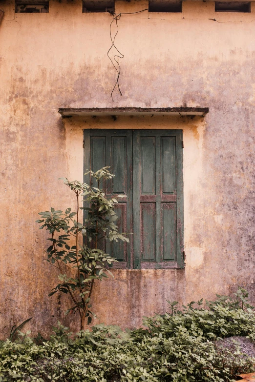 a red fire hydrant sitting in front of a building, an album cover, unsplash contest winner, renaissance, laos, photo of a beautiful window, muted green, ochre ancient palette