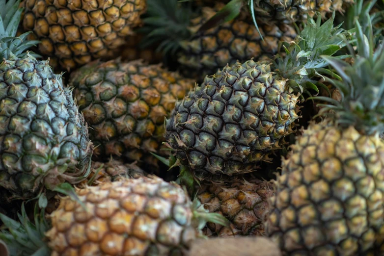 a pile of pineapples sitting on top of each other, a portrait, unsplash, close-up photo, digital image, egypt, no cropping
