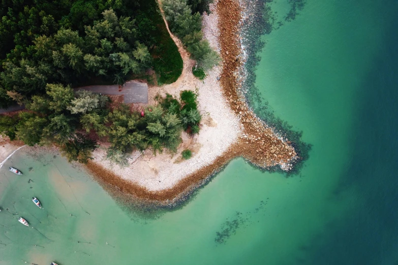 a group of boats floating on top of a body of water, by Daren Bader, pexels contest winner, land art, satelite imagery, on an island, greenish colors, singapore