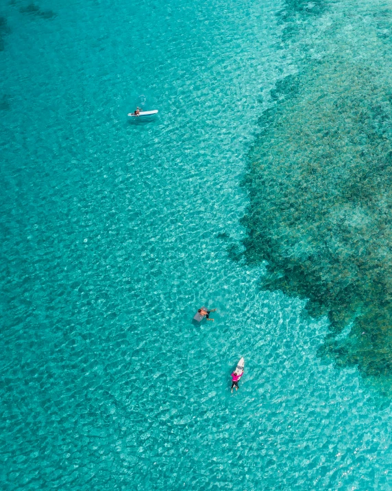 a couple of people that are in the water, a screenshot, pexels contest winner, great barrier reef, bird\'s eye view, turquoise palette, thumbnail