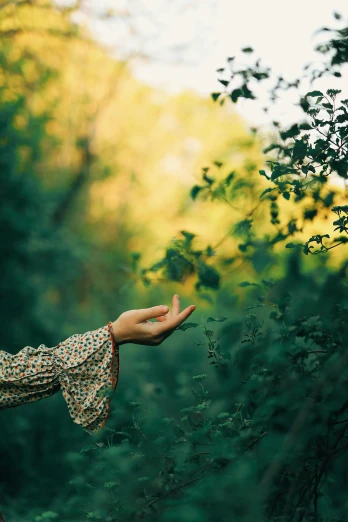 a woman standing in the middle of a forest, a picture, inspired by Elsa Bleda, unsplash, romanticism, beautiful hands, green and yellow, medium format. soft light, 15081959 21121991 01012000 4k