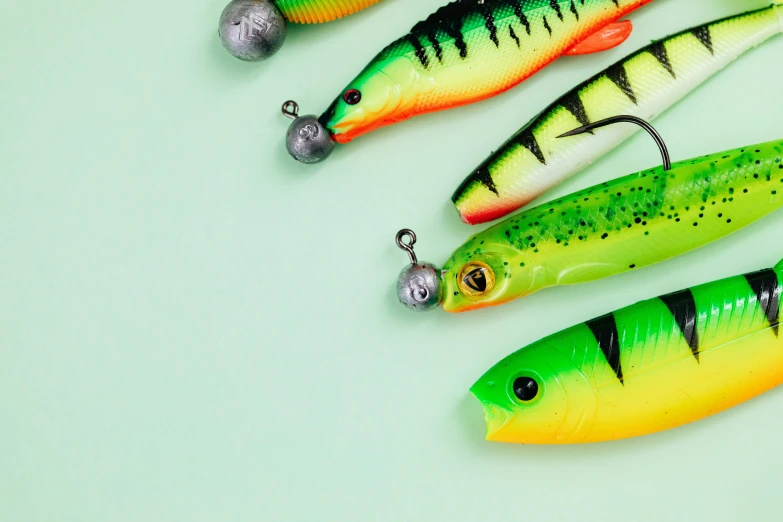 a group of fishing lures sitting next to each other, trending on pexels, gradient light green, miniature product photo, vibrant patterns, bisley